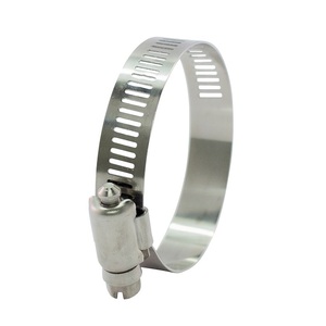 Box 100 AISI 316 Hose Clamp 21 to 32mm